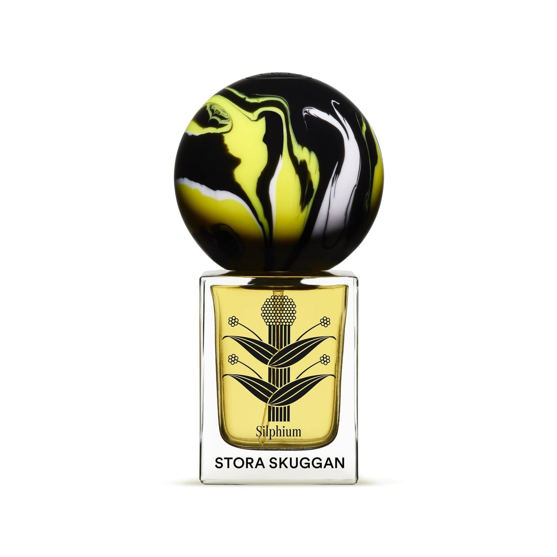 Silphium