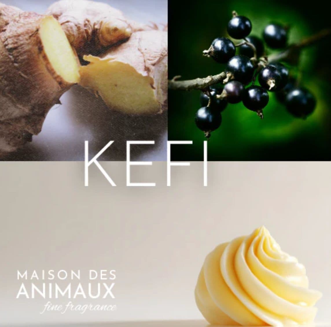 Kefi
