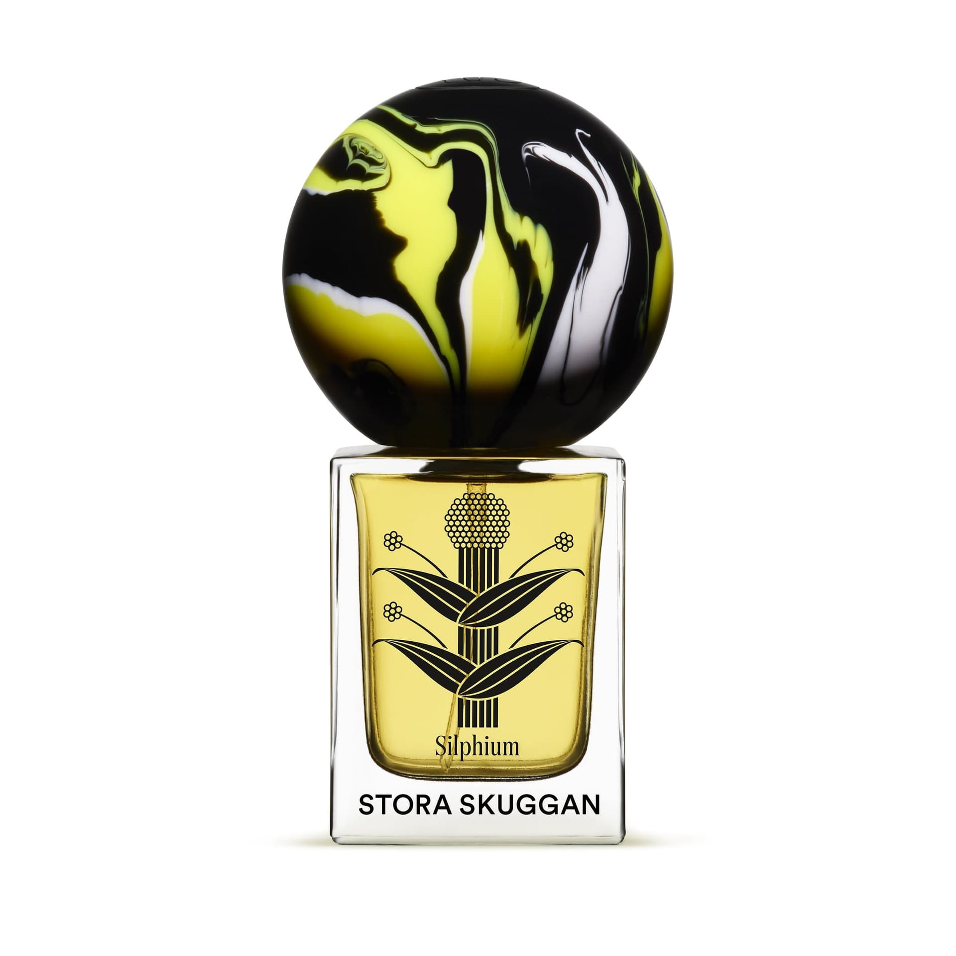 Silphium