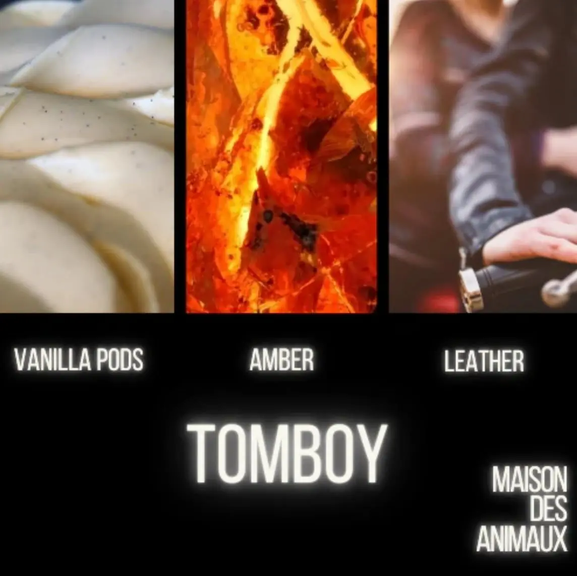 Tomboy