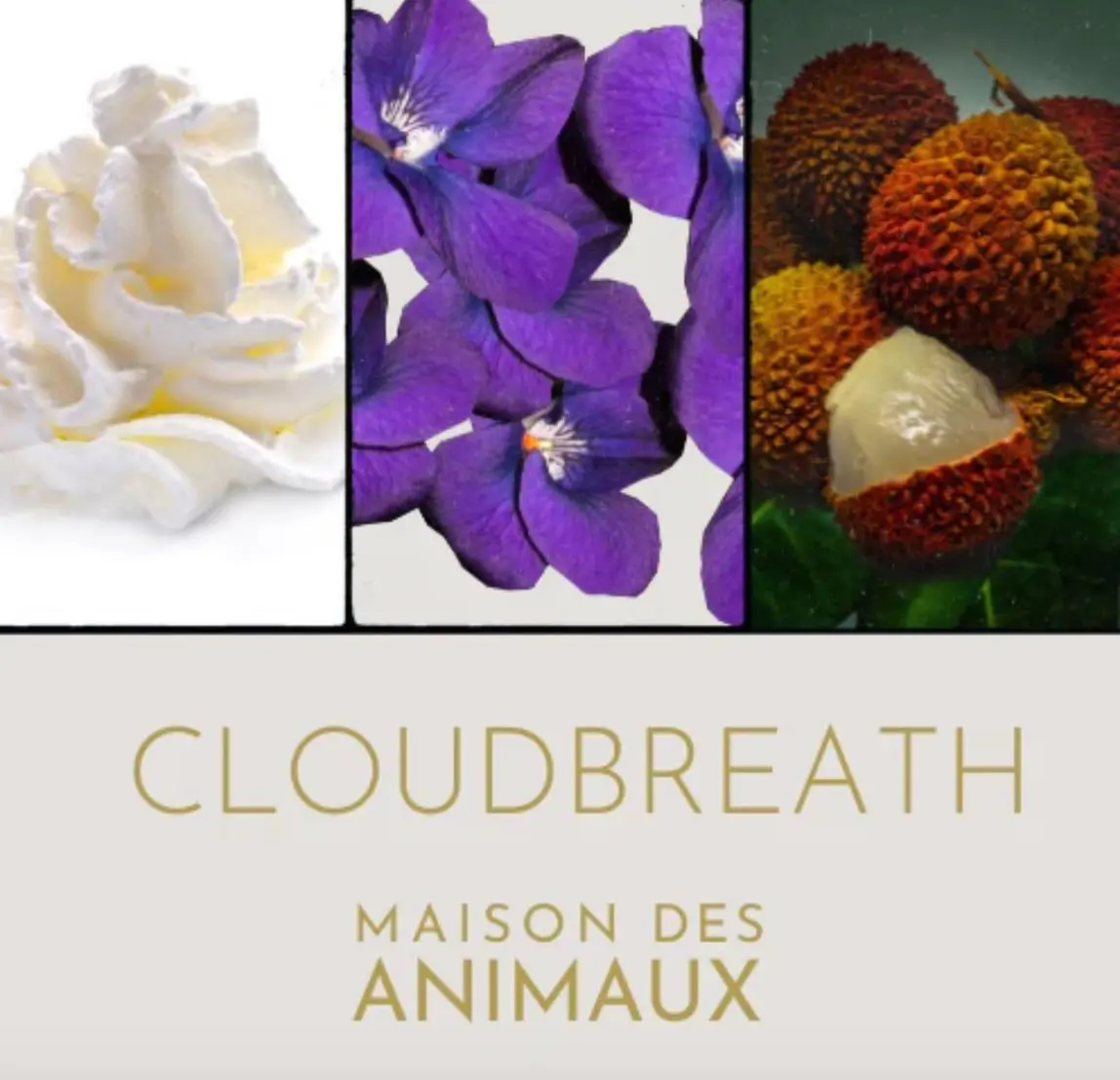 Cloudbreath